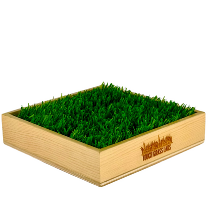 The Touch Grass Classic is a wooden box with artificial grass based on the phrase, "Go Touch Grass," featuring 'Touch Grass Labs' branding.
