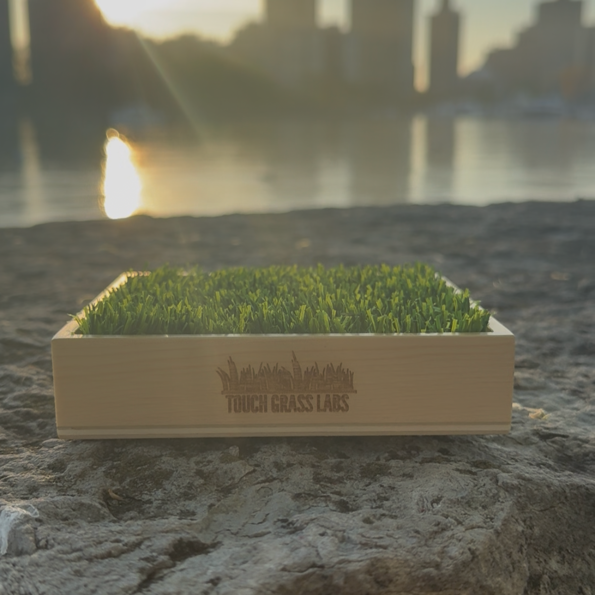 Touch grass gift with a cityscape and sunset in the background